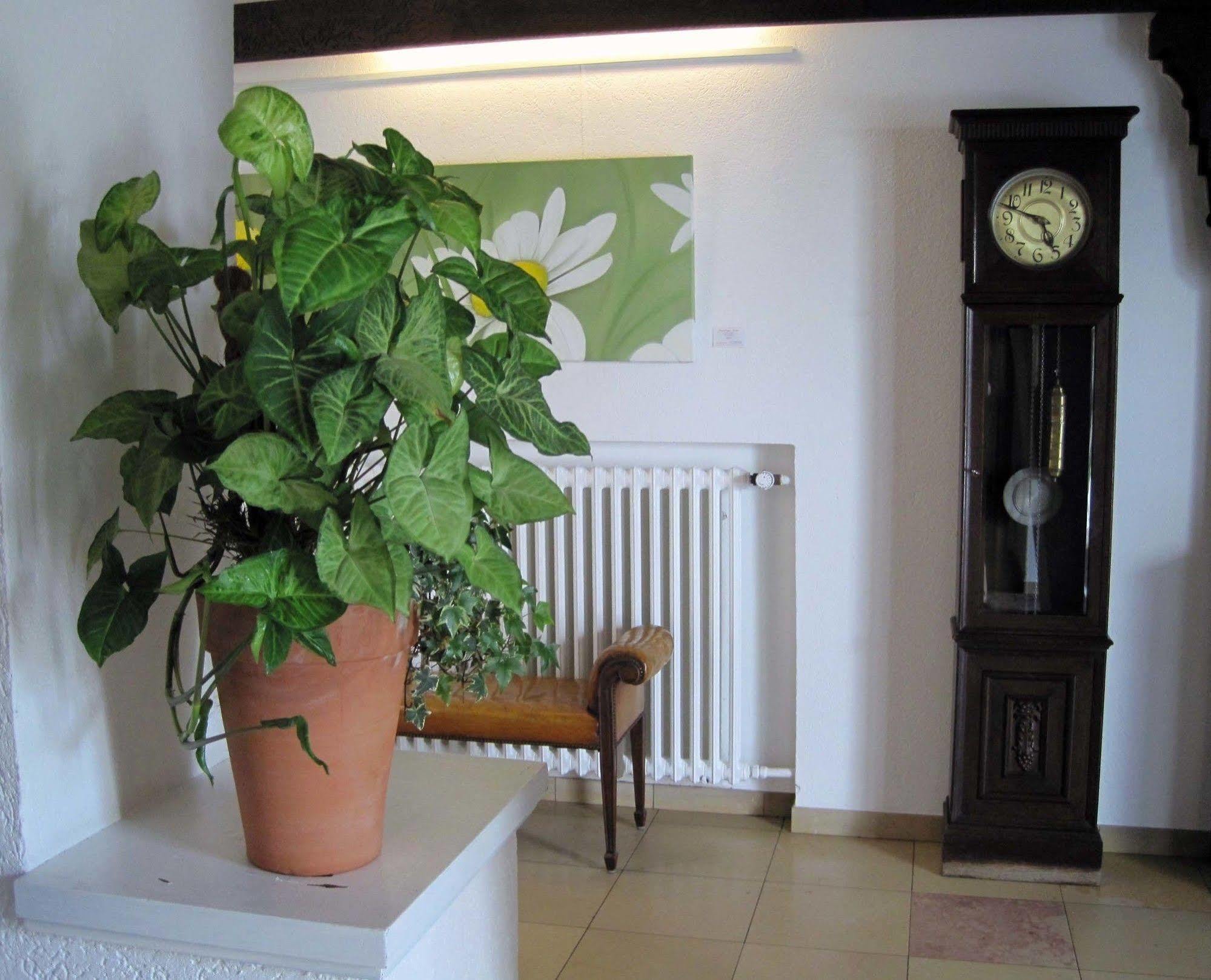 Haus Litzbruck Hotel Dusseldorf Bagian luar foto